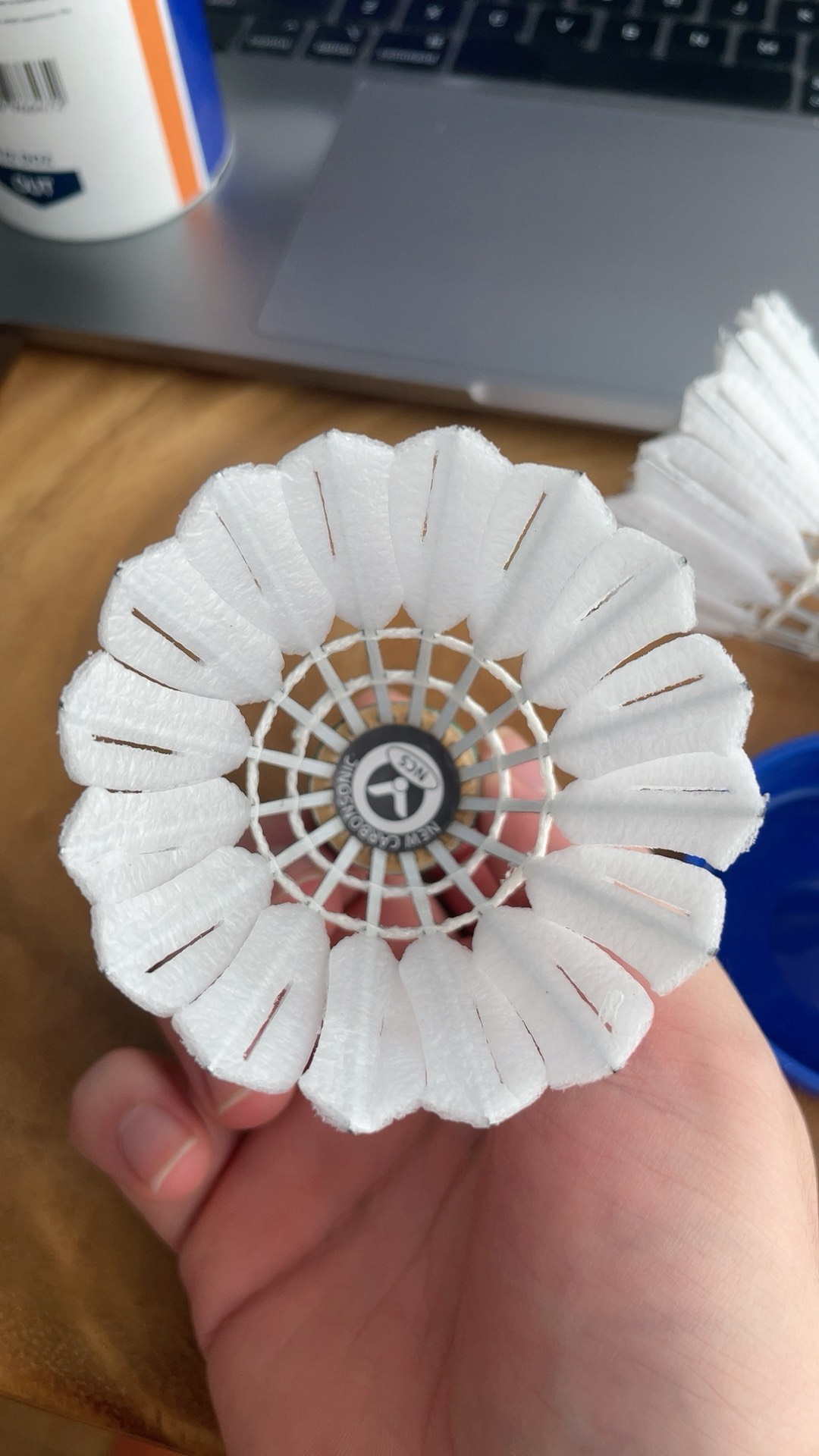 开始展示他 开始展示他