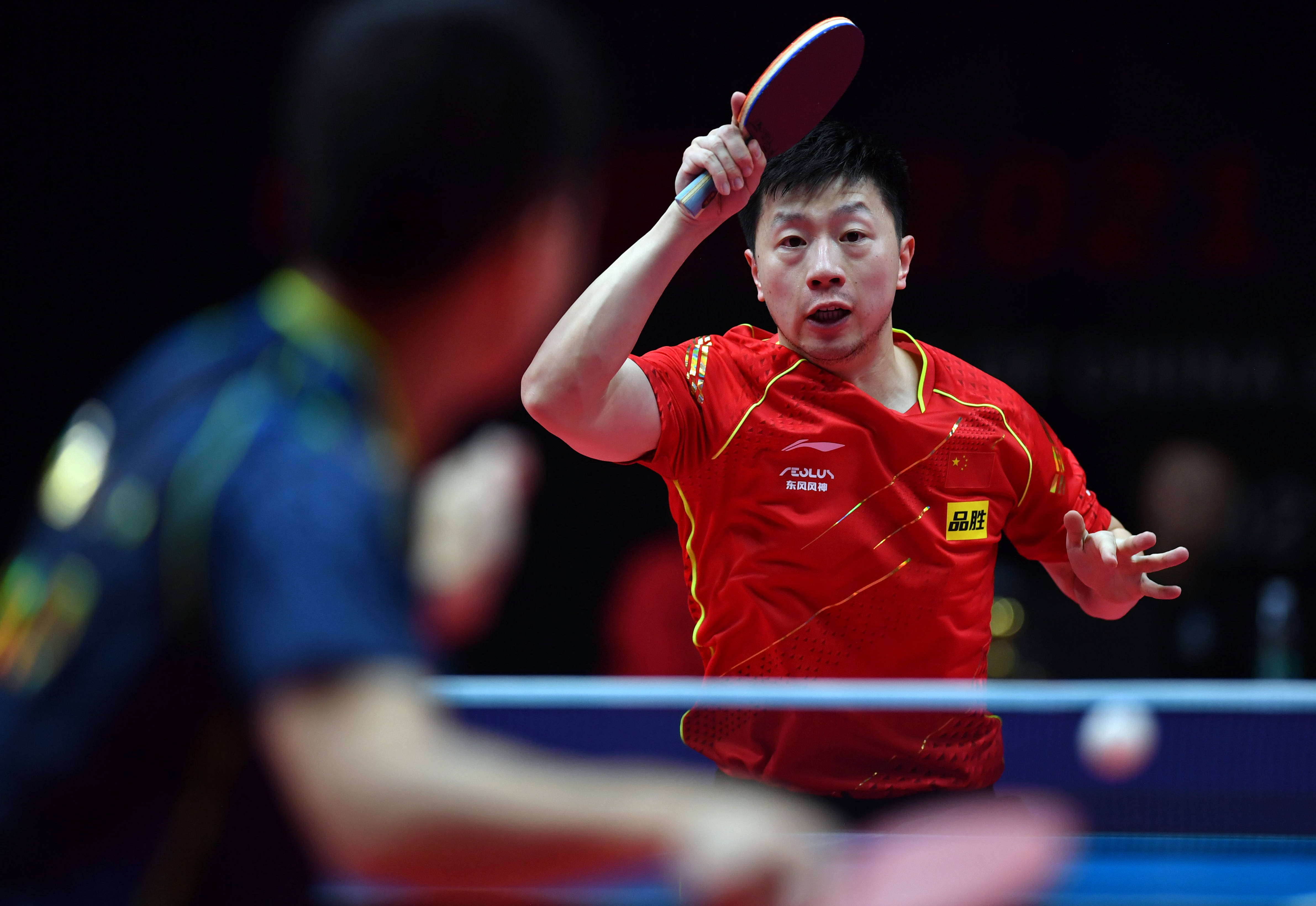 不仅可能导 不仅可能导